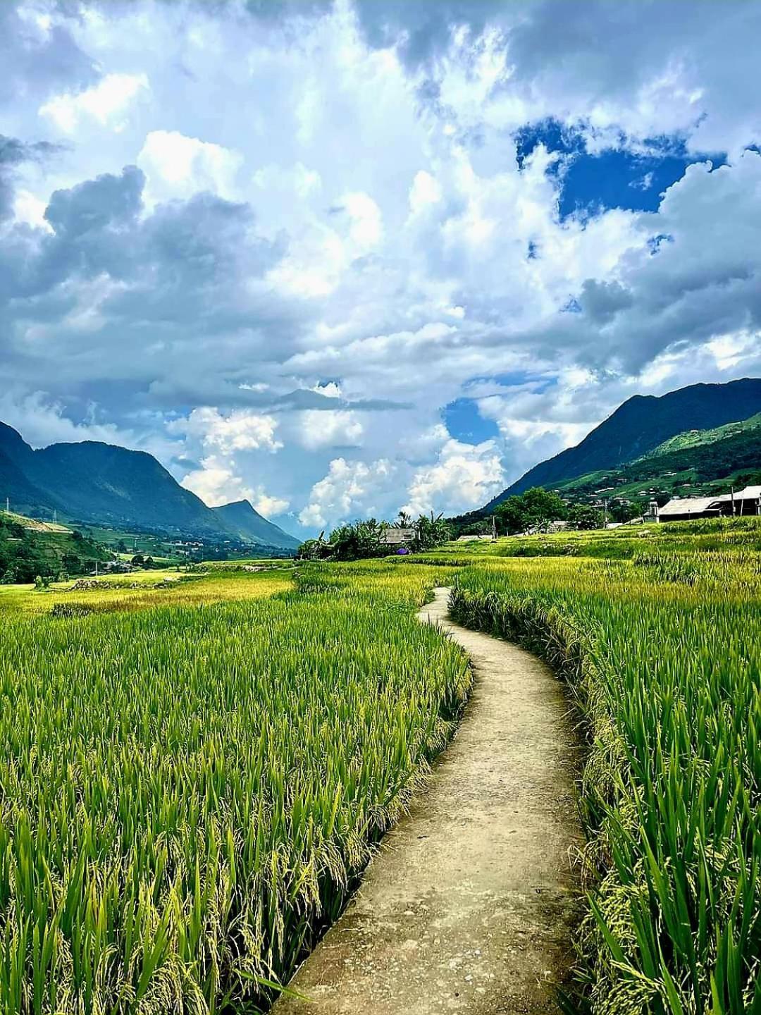 Tavan Dragon House Lao Cai Exterior foto