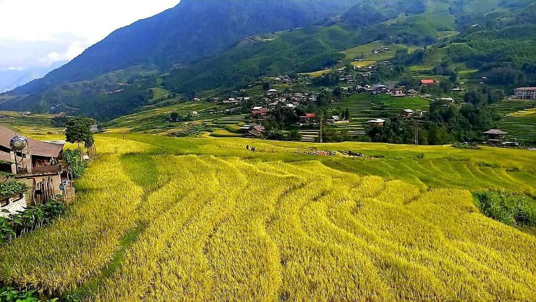 Tavan Dragon House Lao Cai Exterior foto